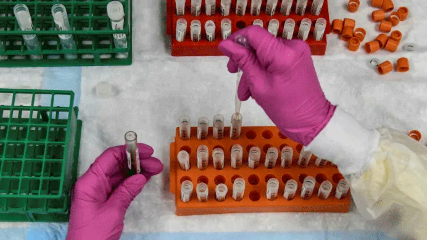 عامل في مختبر ينظم عينات من الدم خلال اختبار لإنتاج لقاح ضد كورونا في فلوريدا