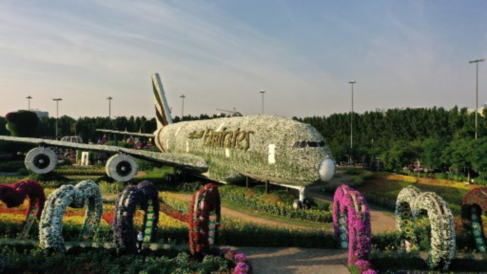 صورة تُظهر هيكلًا مصنوعًا من زهور لطائرة طيران الإمارات من طراز إيرباص A380 وصلت إلى كتاب غينيس للأرقام القياسية ، في حديقة دبي المعجزة ، أكبر حديقة زهور في العالم ، في الإمارات العربية المتحدة في 11 نوفمبر 2020.