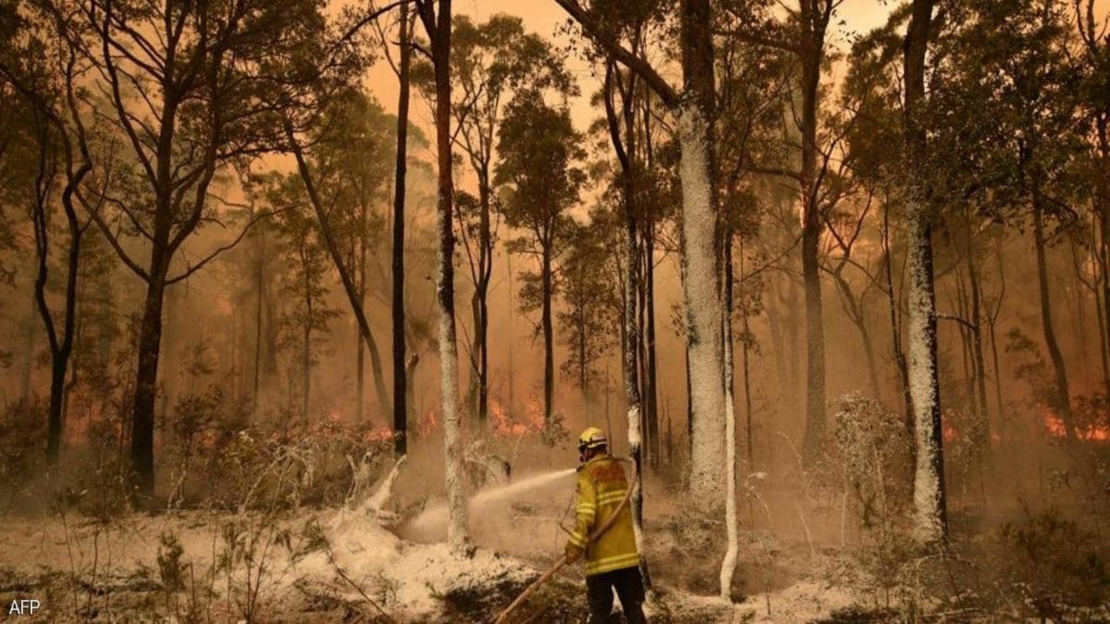 الأمم المتحدة: العالم لا يزال متجها لاحترار مناخي من ثلاث درجات مئوية رغم الجائحة