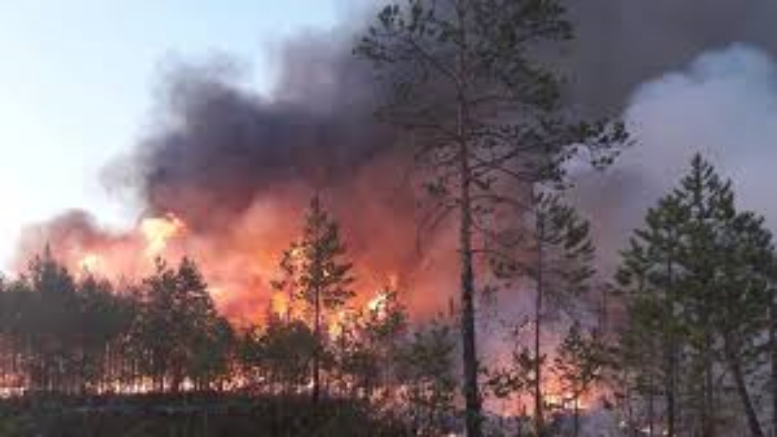 أعلى حرارة في شهر نوفمبر سجلت عام 2020