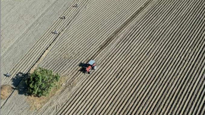 صورة جوية لمزارعين يبرون حقلًا بحبوب الذرة في سان بيدرو بالمكسيك في أبريل الماضي