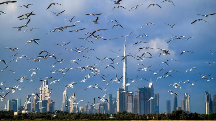 مبان في دبي في 8 كانون الثاني/ديسمبر 2020