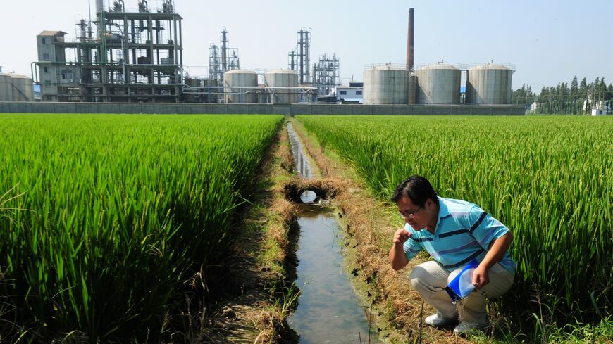 صورة من الأرشيف للناشط البيئي الصيني وو ليهونغ يفحص جودة المياه في قناة ري خارج مصنع كيميائي بجانب حقل الأرز وعلى حافة بحيرة تايهو في ييشينغ بمقاطعة جيانغسو