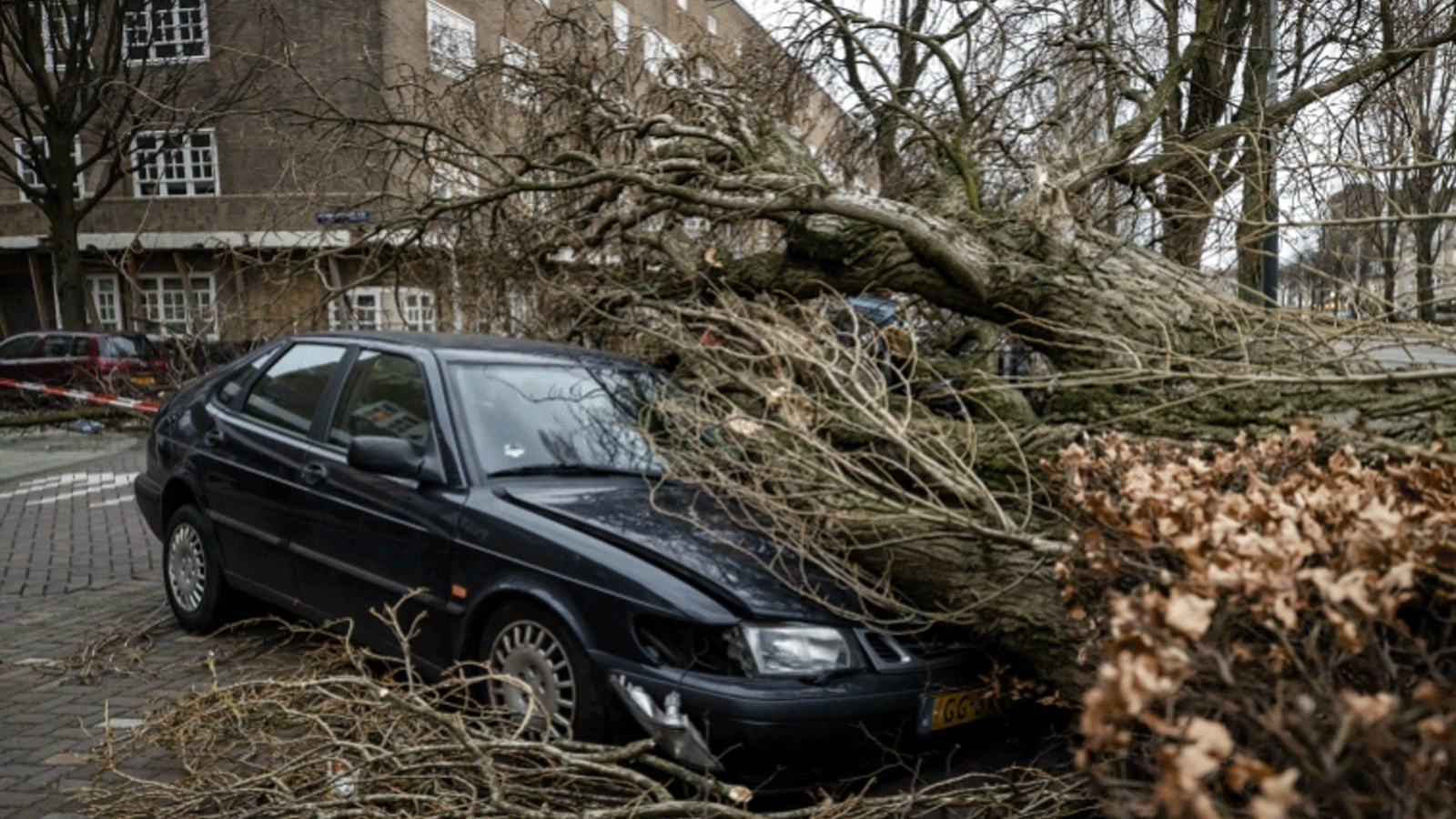 سيارة ترقد تحت شجرة سقطت في أمستردام بعد عواصف شديدة ضربت البلاد