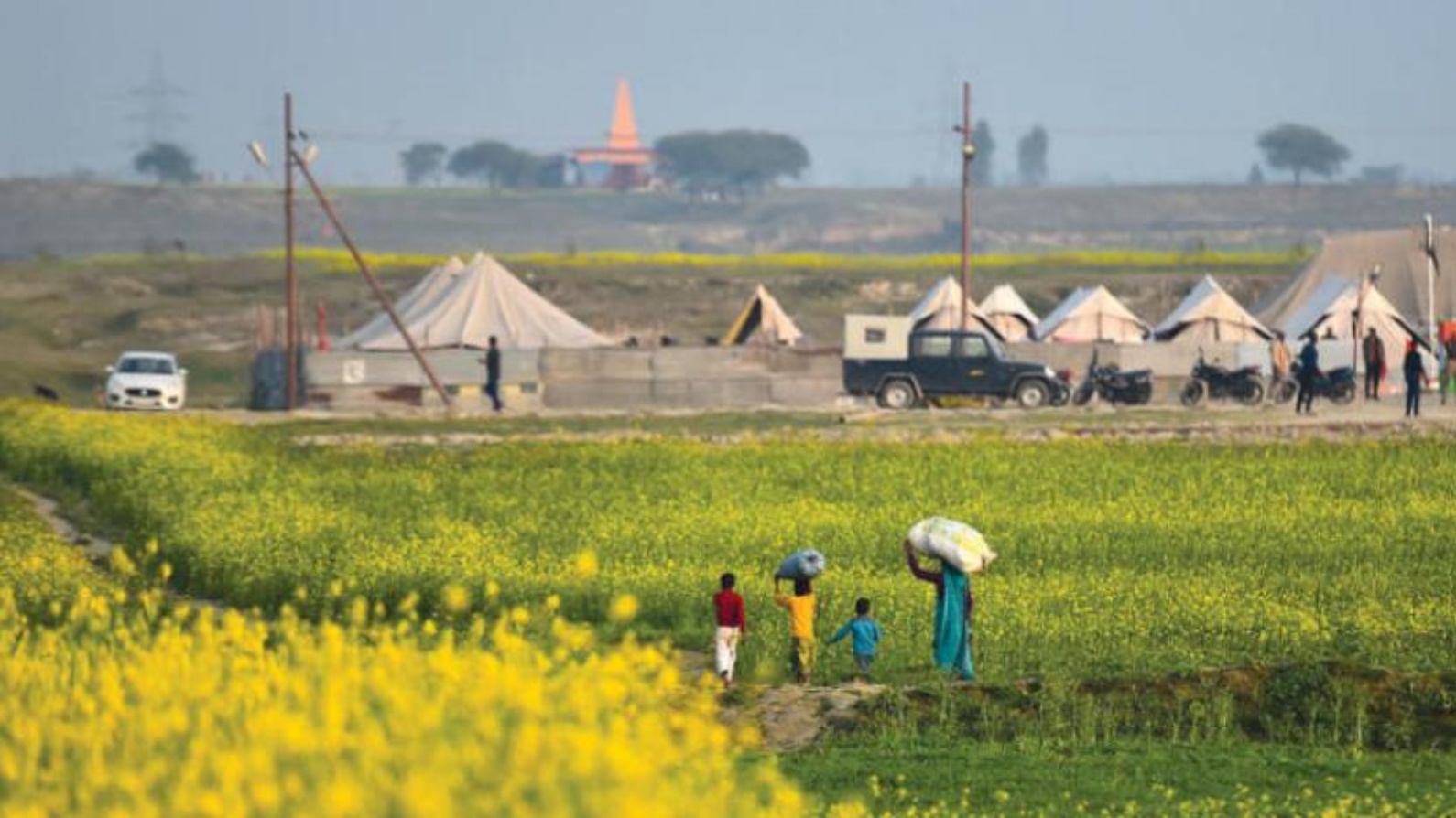 مزارعون في حقول القمح والأرز في الهند