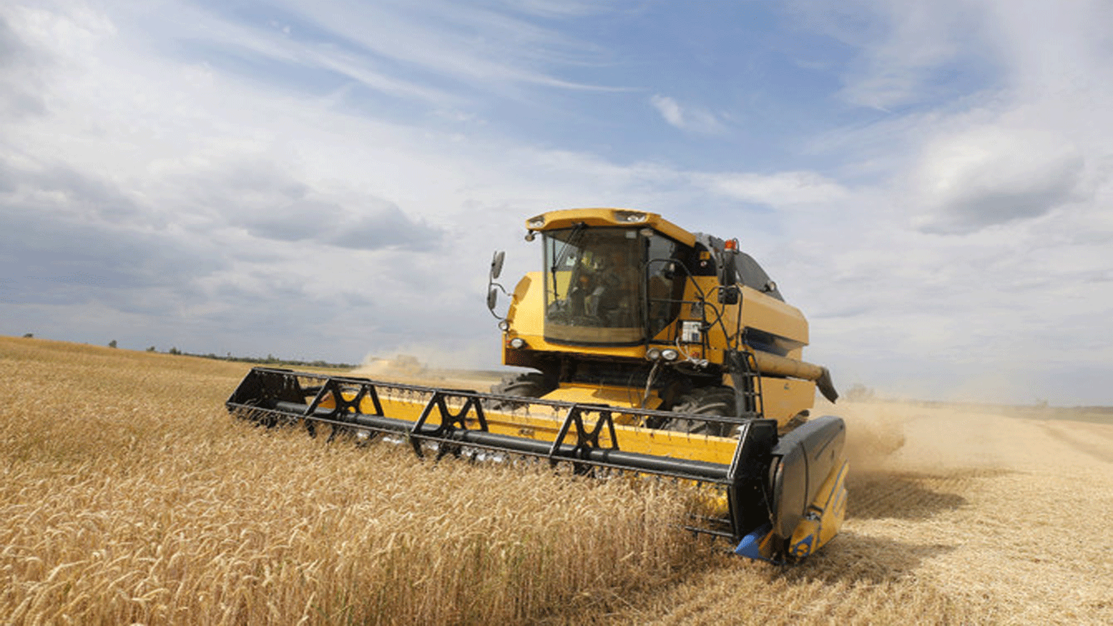 حصاد يجمع القمح من حقل بالقرب من قرية كراسن في منطقة تشيرنيهيف، على بعد 120 كم شمال كييف. 5 تموز\يوليو 2019.