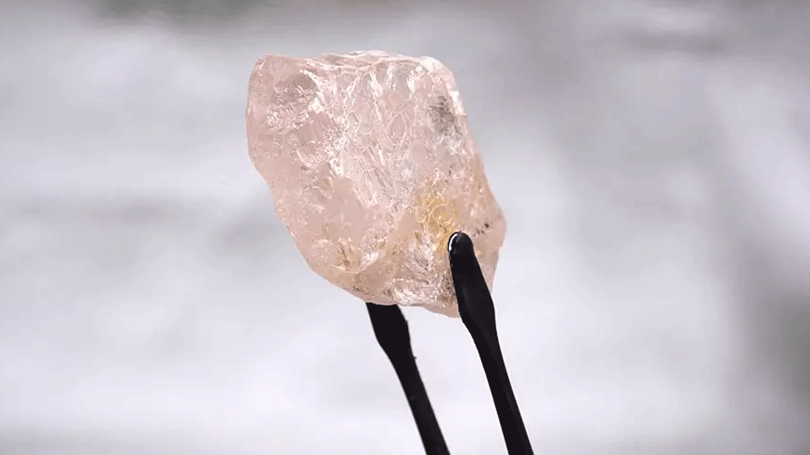تُظهر هذه الصورة غير المؤرخة التي أصدرتها شركة Lucapa Diamond Company Limited في 27 يوليو 2022 ماسة وردية بوزن 170 قيراطًا - يطلق عليها اسم Lulo Rose - تم اكتشافها في أنغولا