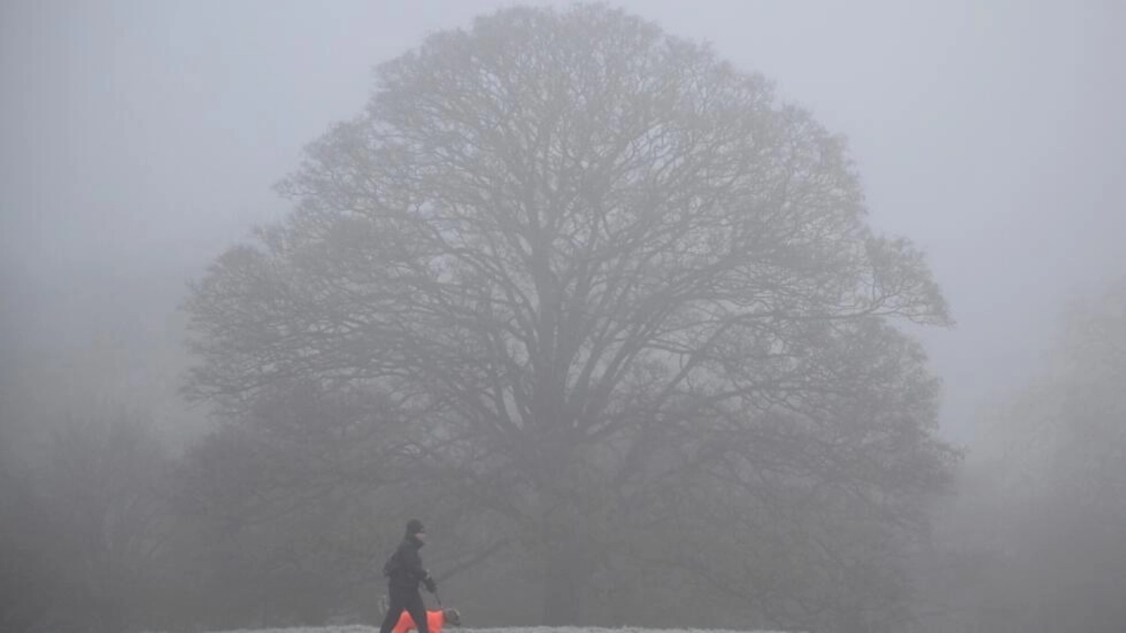 رجل ينزه كلبه وسط الضباب في منطقة بريمروز هيل في شمال لندن في 11 ديسمبر 2022