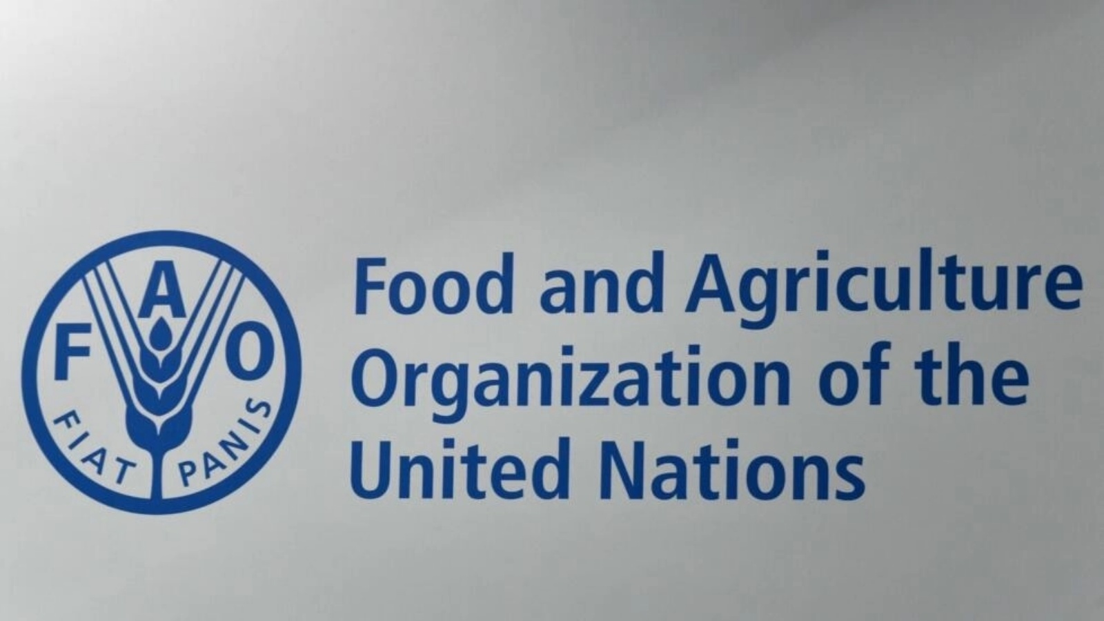 شعار منظمة الأغذية والزراعة للأمم المتحدة في مقر المنظمة في روما في 23 يونيو 2019 