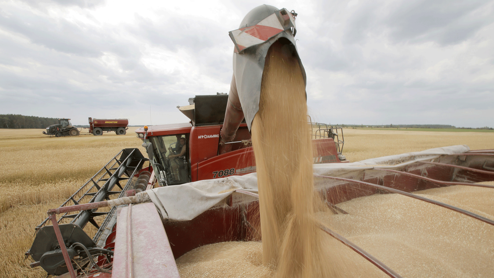 تحميل الحبوب الأوكرانية بعد الحصاد