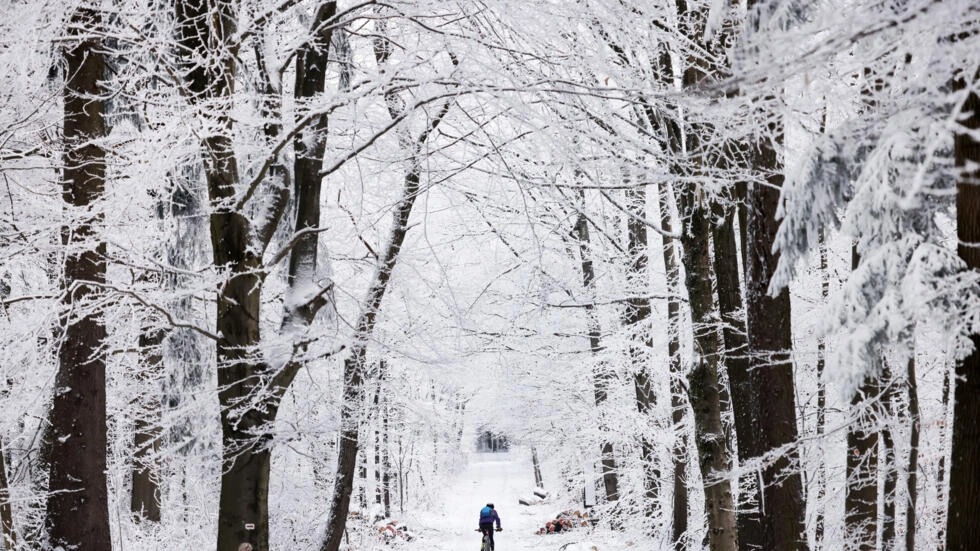 رجل على دراجته الهوائية في غابة تغطيها الثلوج في هايدلبرغ بجنوب غرب المانيا في 16 كانون الثاني/يناير 2024