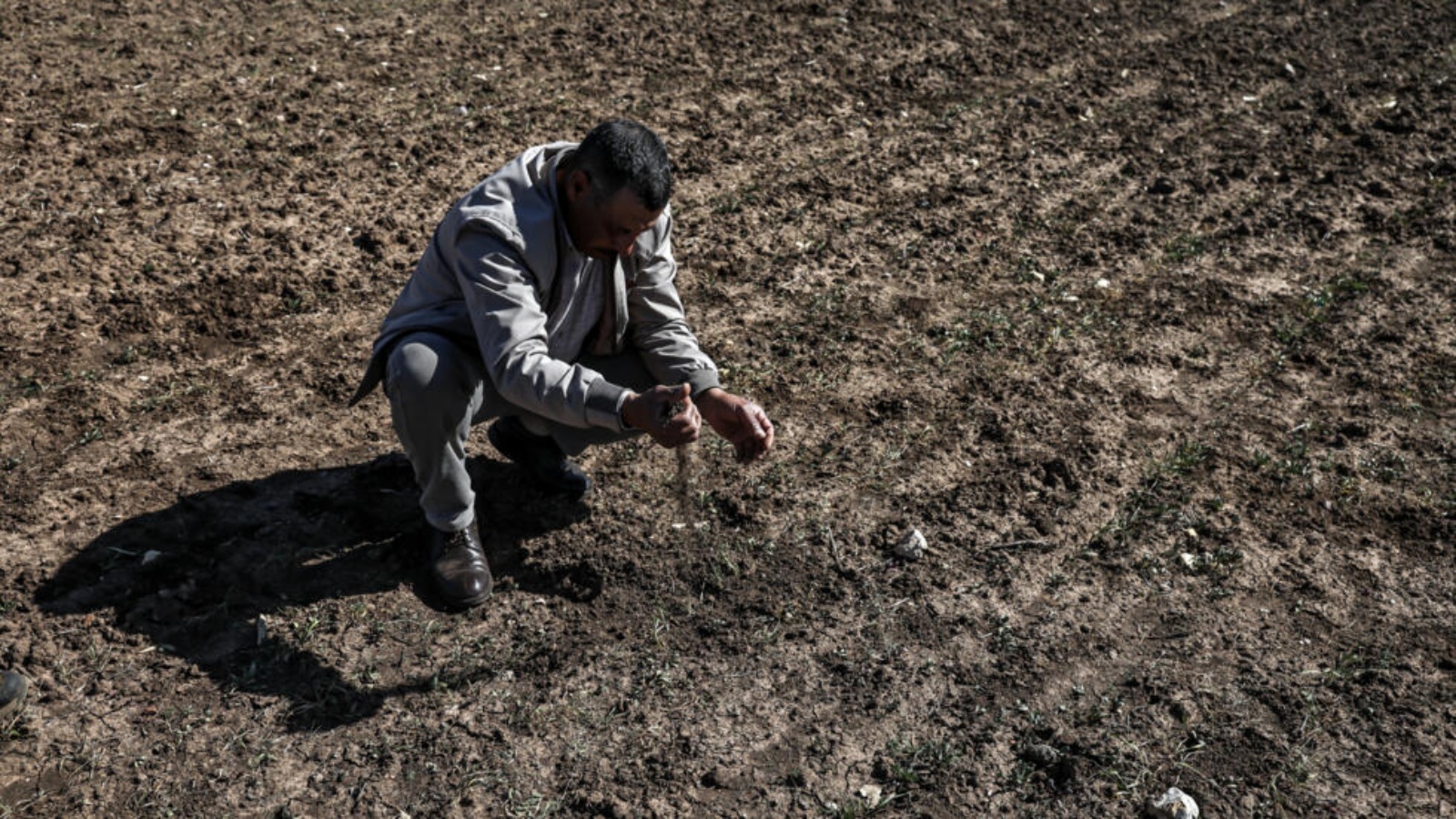 مزارع مغربي داخل حقله الذي يعاني جفافا شديدا في برشيد التي تبعد 40 كلم جنوب شرق الدار البيضاء في السابع من شباط (فبراير) 2024 