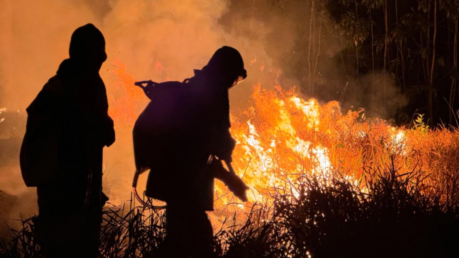 عناصر إطفاء يخمدون حرائق في البرازيل في 29 شباط (فبراير) 2024 