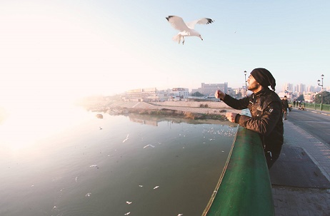 المصور يطعم نوارس دجلة.