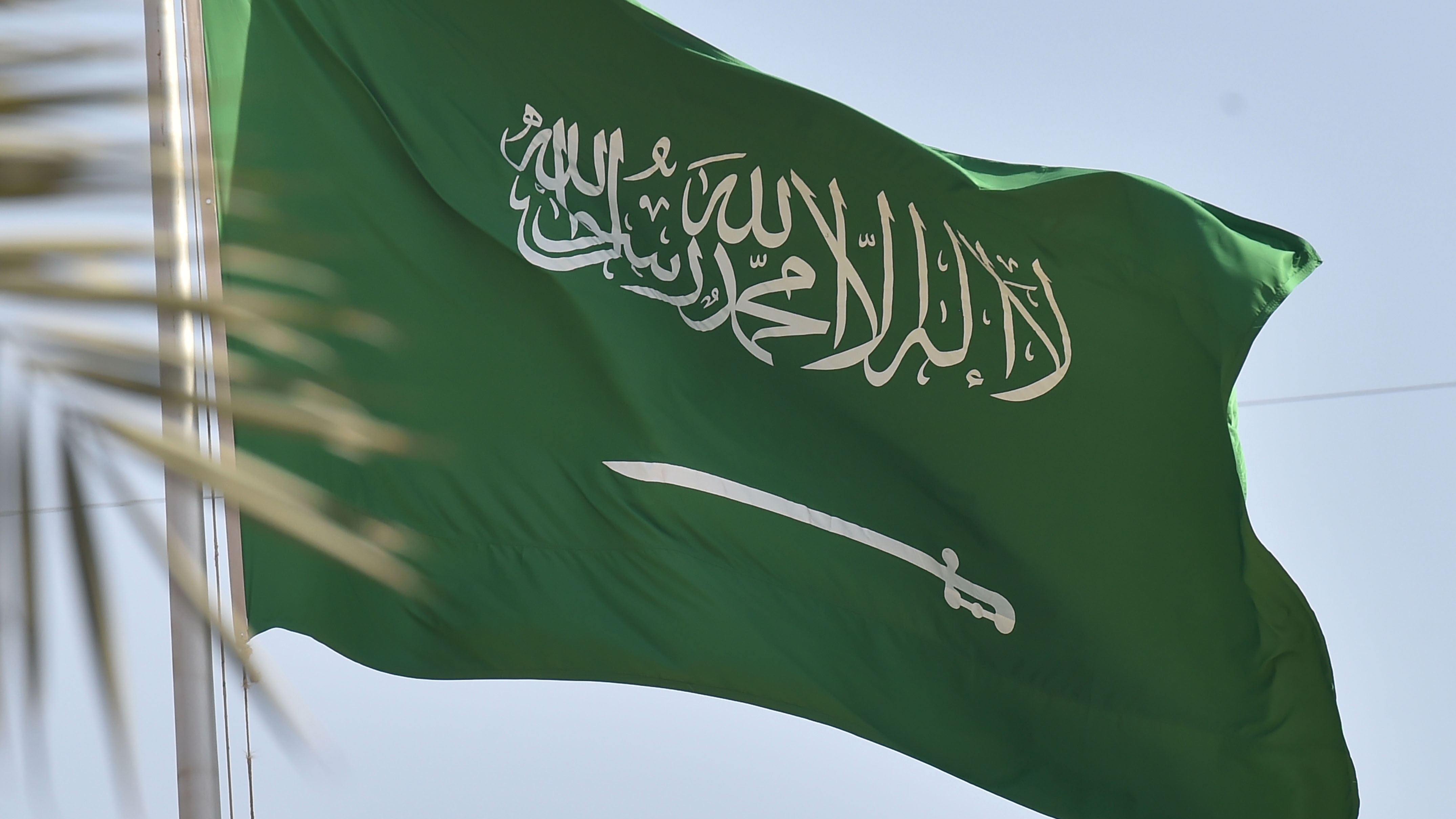 السعودية وطن الشموخ والشموس