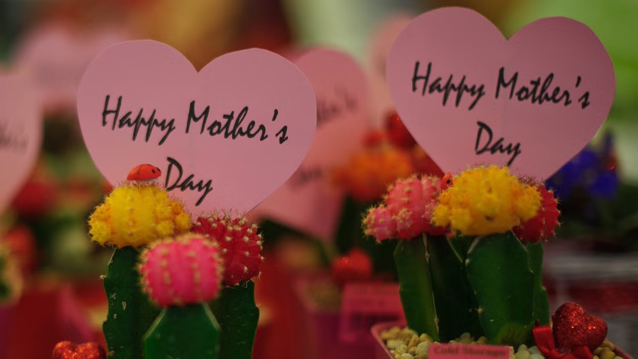 حين تصبح العصافير أسرة