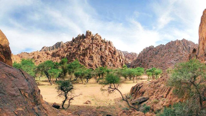 أجا وسلمى… أسماء لم تُكتَب وحكايات لم تُروَ
