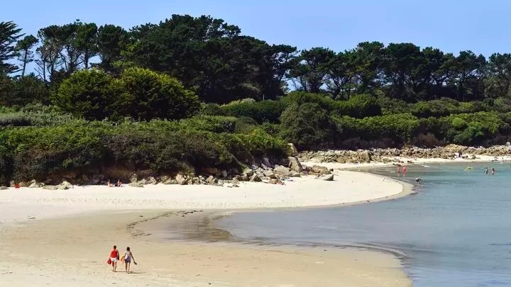 مقالات فارغة