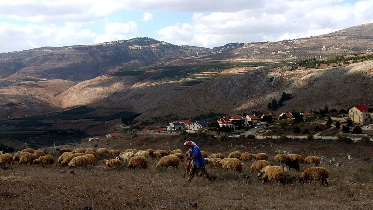 راعي غنم يرعى أغنامه في جنوب لبنان بالقرب من الحدود مع إسرائيل