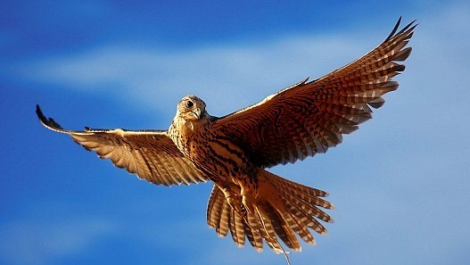 صورة تعبيرية