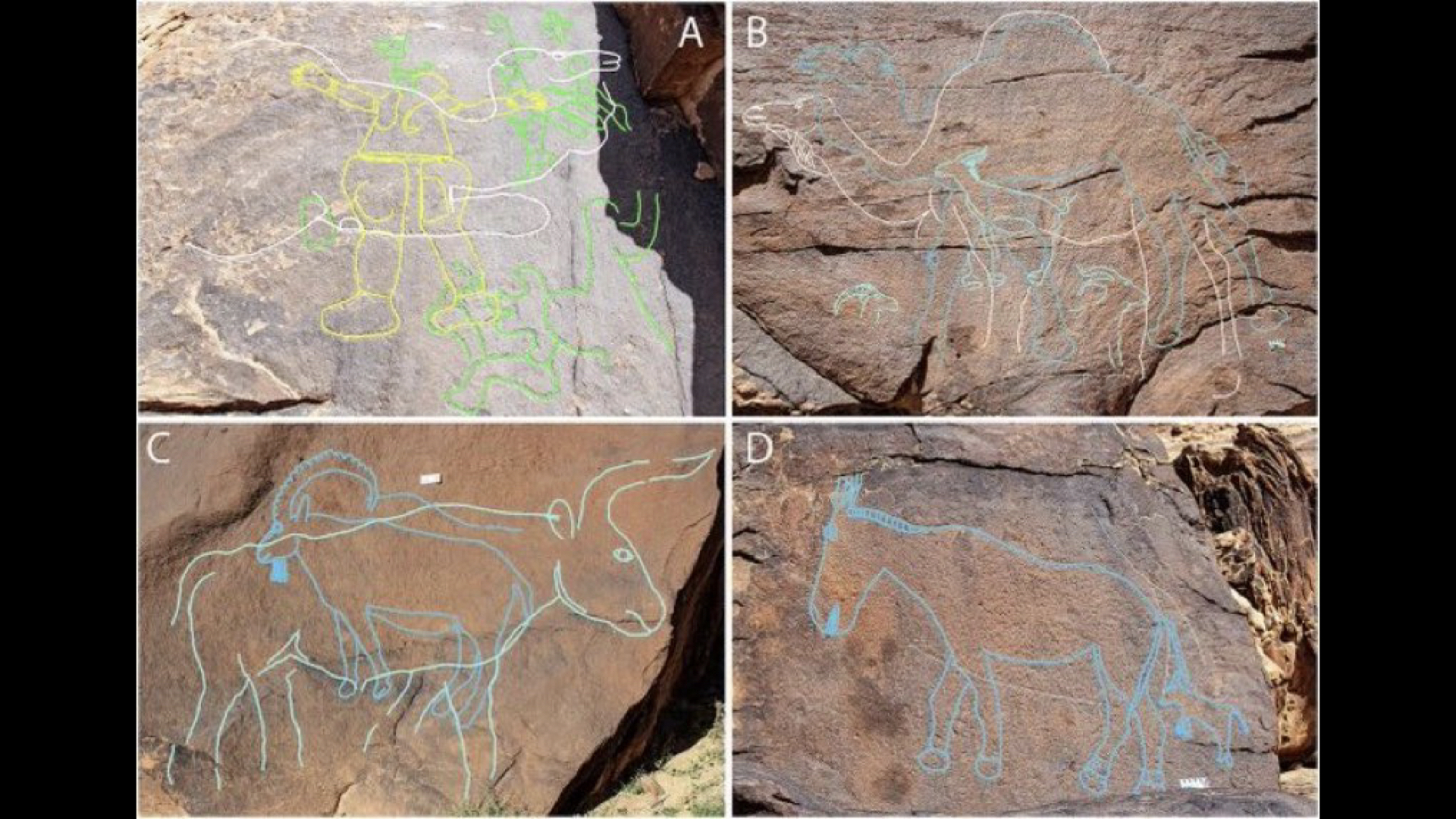 اكتشاف أثري سعودي يتصدر نيتشر: البشر ازدهروا في الجزيرة العربية قبل 12,800 سنة