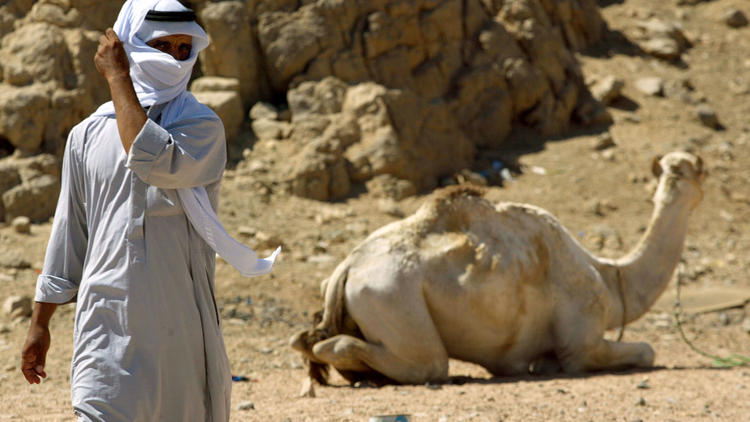 طوّرت المجتمعات أساليب مرنة للتكيّف مع الندرة، ممتدة من صحارى آسيا إلى أقاليم إفريقيا