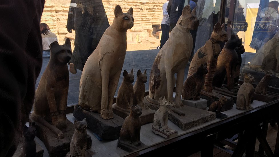مصر تعرض للجمهور كشفا أثريا يضم مومياوات لحيوانات عُثر عليه العام الماضي