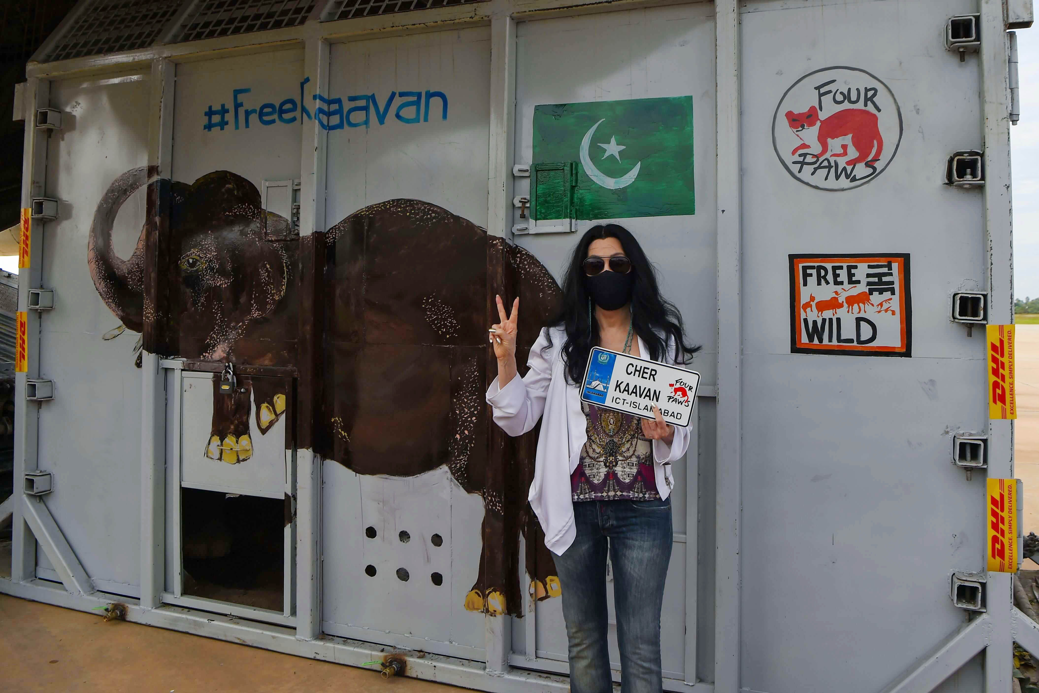 المغنية شير تستقبل الفيل كافان في كمبوديا بعد إنقاذه من باكستان