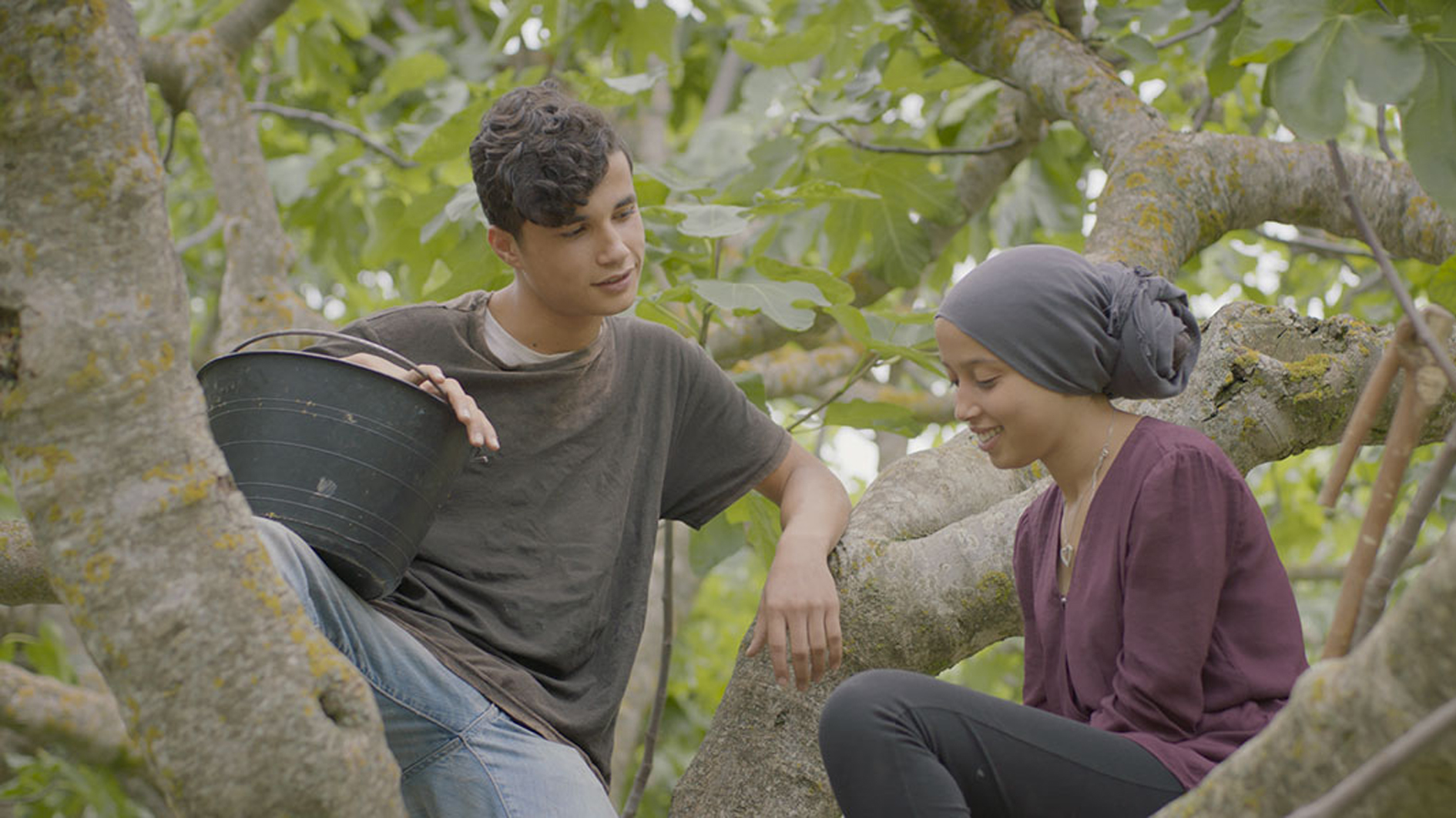 فيلم تحت الشجرة لأريج السحيري في مهرجان تورونتو السينمائي الدولي