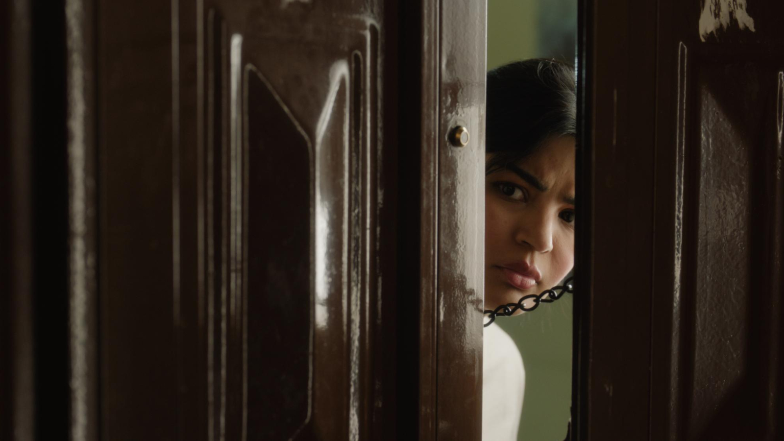 مهرجان البحر الأحمر السينمائي الدولي يزيح الستار عن برنامجي