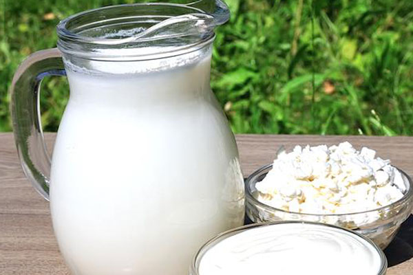 بدائل طبيعية للقشدة والدوبل كريم والحليب الدسم