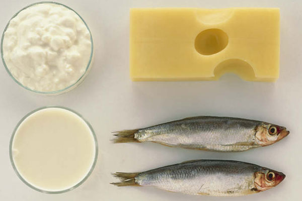معلومات حول أنواع من السمك والجبن