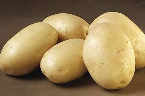 البطاطا: أول الخُضَر التي تنمو في الفضاء