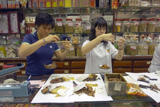 متجر صيني للأعشاب الطبية