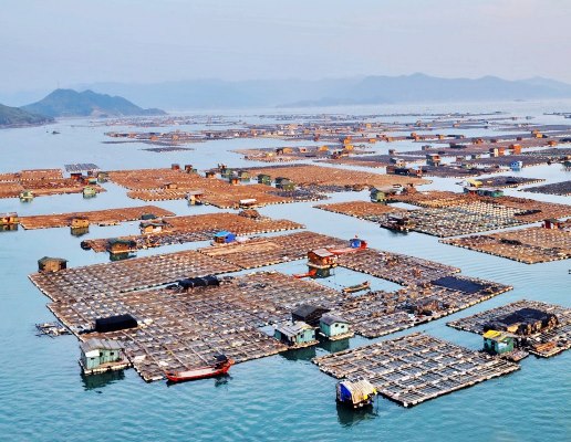 صورة من أعلى