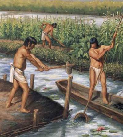 عمل الزوج في الحقل عند ذوي الزوجة