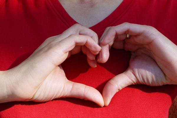 القلب وسحر الخلايا الجذعية