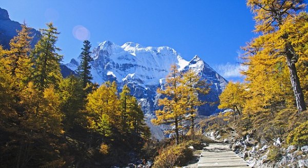 طبيعة المنطقة 