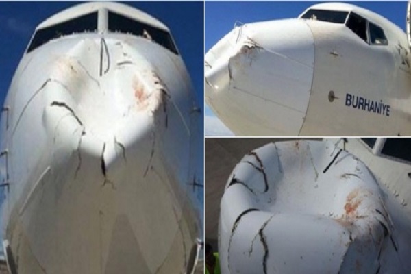 تشوه مقدمة الطائرة التركية اثر ارتطام الطائر بها 