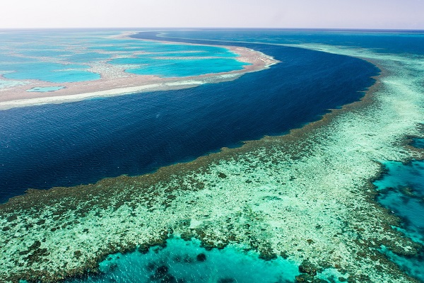 الحاجز المرجاني الاسترالي 