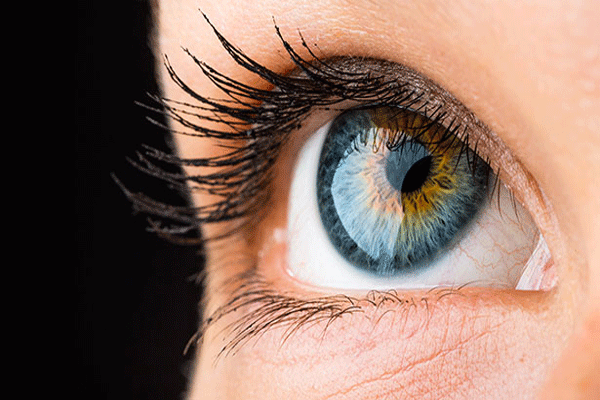 الطريقة الجديدة هي زرع الخلايا الجذعية في العين محل العين الكدرة