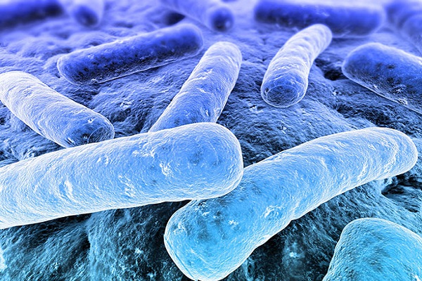 جديد الطّبيعة: بكتيريا تلتهم الأجهزة الإلكترونيّة