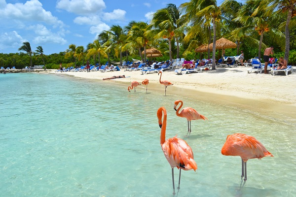 آروبا جزيرة تجعل إجازتك أكثر متعة في الكاريبي