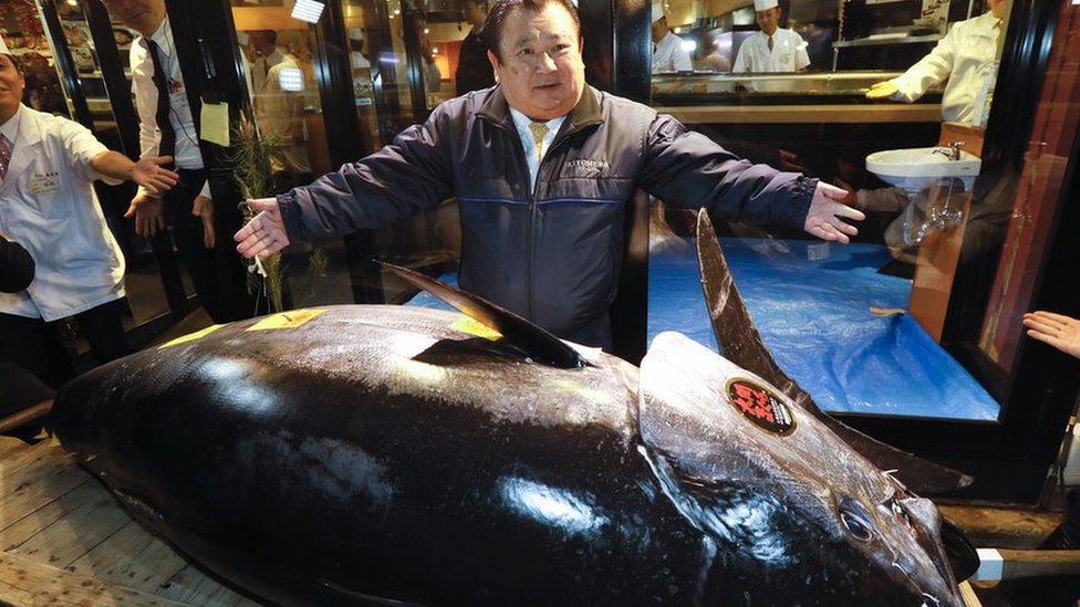 بيع سمكة تونة بأكثر من 3 ملايين دولار