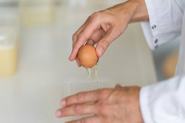 بيضة واحدة يومياً تحد من خطر الإصابة بالسكري من النوع الثاني