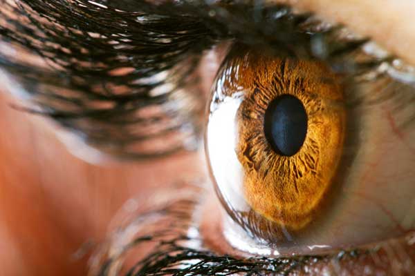 يعتبر النوع الجاف من تنكس البقعة الناجم من تقدم السن من أشهر أنواع أمراض العين