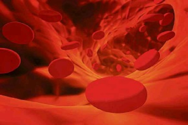 إنتاج بويضات من كريات الدم الحمراء لعلاج العقم