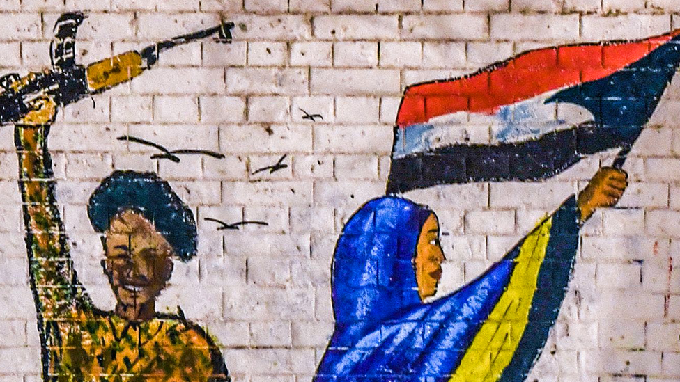 أزمة السودان: الاغتصاب 