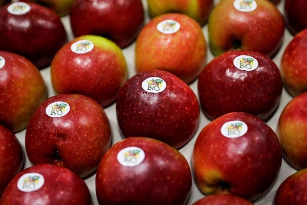 حبة التفاح التي تحتوي على 100 مليون نوع بكتيريا !