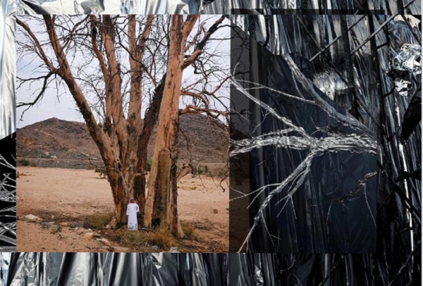 الفنان السعودي عبدالله العثمان يجعل من السدر أشجارا خالدة